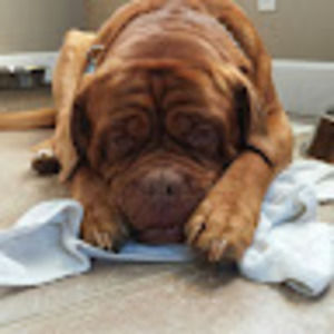 Meet your Posher, Pinch